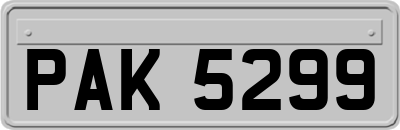 PAK5299