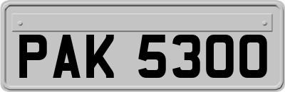 PAK5300