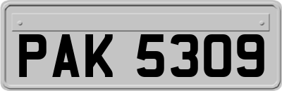 PAK5309