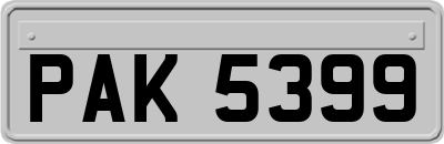 PAK5399