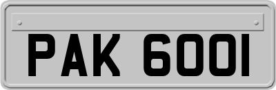 PAK6001