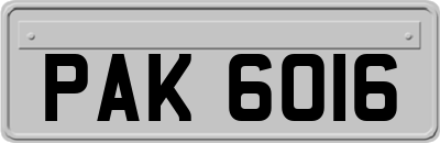 PAK6016