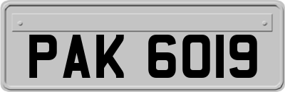 PAK6019