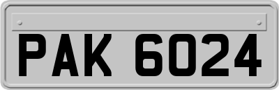 PAK6024