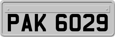 PAK6029