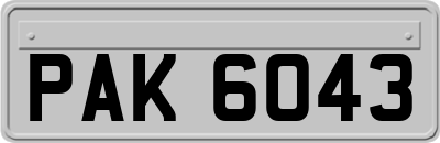 PAK6043