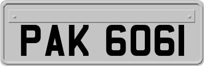 PAK6061