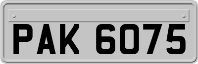 PAK6075
