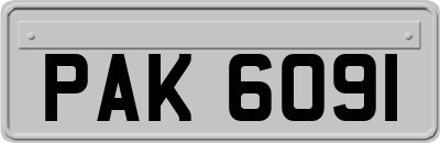 PAK6091