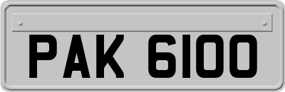 PAK6100