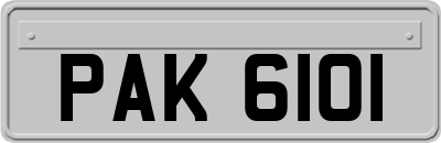 PAK6101