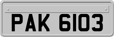 PAK6103