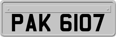 PAK6107