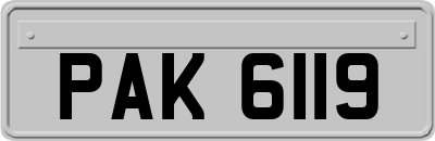 PAK6119
