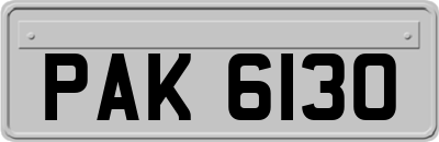PAK6130