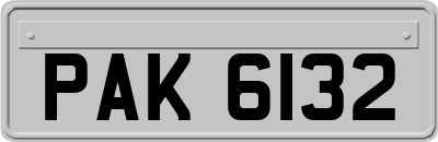 PAK6132