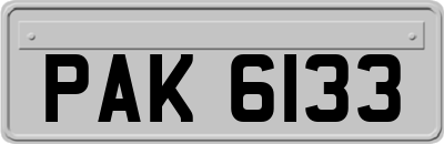 PAK6133