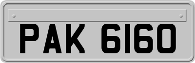 PAK6160