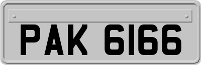 PAK6166
