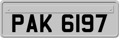 PAK6197