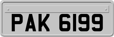 PAK6199