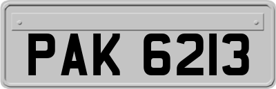 PAK6213