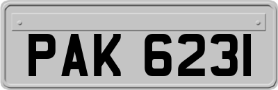 PAK6231