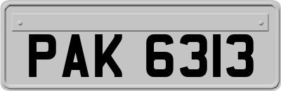 PAK6313