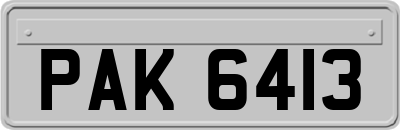 PAK6413