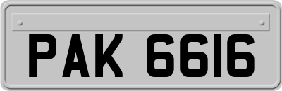PAK6616