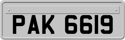 PAK6619