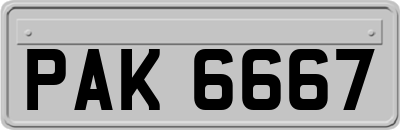PAK6667