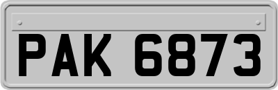 PAK6873