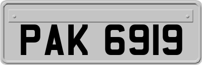 PAK6919