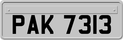 PAK7313