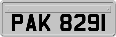 PAK8291
