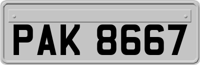 PAK8667