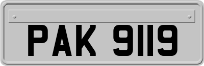 PAK9119
