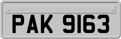 PAK9163