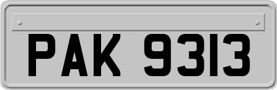 PAK9313
