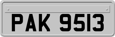 PAK9513