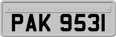 PAK9531