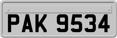 PAK9534