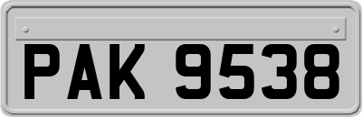 PAK9538