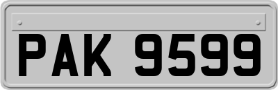 PAK9599