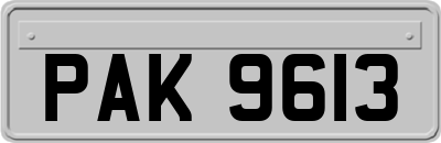 PAK9613