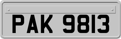 PAK9813