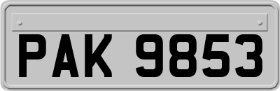 PAK9853