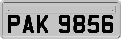 PAK9856