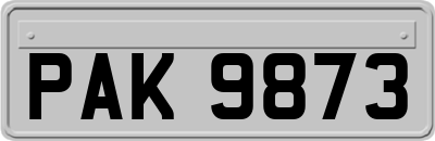PAK9873